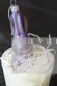 江宁法院执法庭的地址