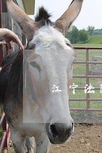 江宁法院西门子