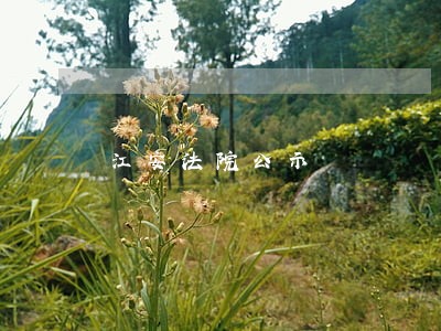 江安法院公示 江安法院公示