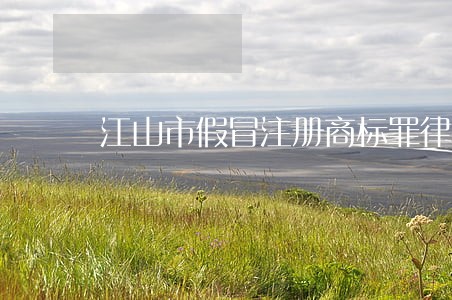 江山市假冒注册商标罪律师哪个好 江山市假冒注册商标罪律师哪个好