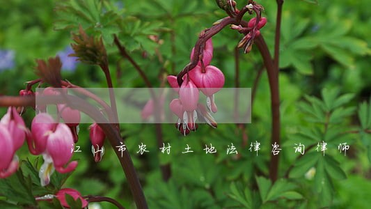 江山市农村土地法律咨询律师 江山市农村土地法律咨询律师