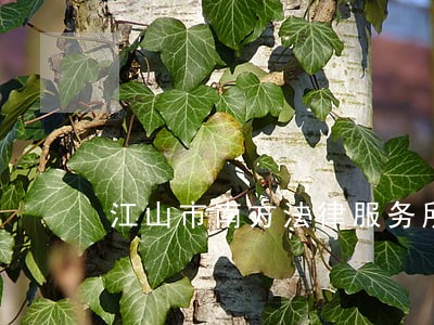 江山市南方法律服务所主任郑云峰 江山市南方法律服务所主任郑云峰