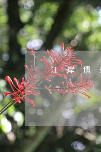江岸债务合同纠纷律师 江岸债务合同纠纷律师