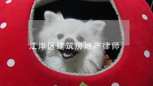 江岸区建筑房地产律师 江岸区建筑房地产律师