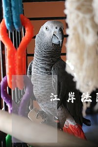 江岸法院办公时间