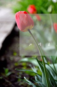 江川县危险驾驶罪诉讼律师 江川县危险驾驶罪诉讼律师