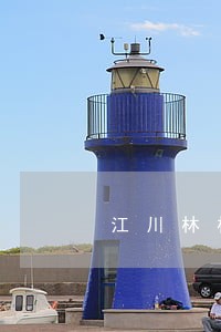 江川林权承包纠纷律师