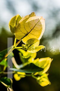 江川法院成功调解一起赡养纠纷 江川法院成功调解一起赡养纠纷