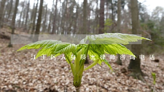 江干区人身损害律师咨询电话 江干区人身损害律师咨询电话