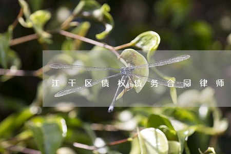 江干区债权债务合同律师代理 江干区债权债务合同律师代理