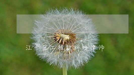 江干区工程款纠纷律师 江干区工程款纠纷律师