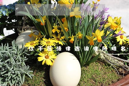 江干区法律咨询律所排名 江干区法律咨询律所排名