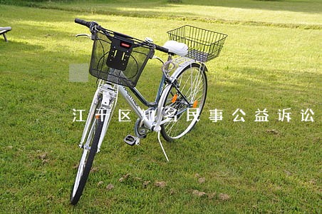江干区知名民事公益诉讼律师 江干区知名民事公益诉讼律师