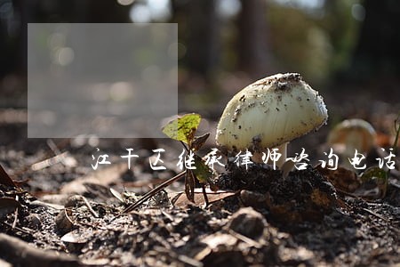 江干区继承律师咨询电话