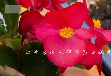 江干合伙人律师怎么收费的 江干合伙人律师怎么收费的