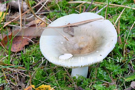 江干房地产律师哪个好 江干房地产律师哪个好