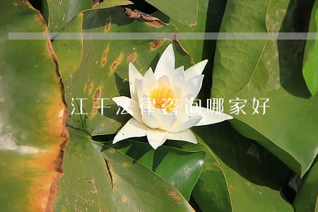 江干法律咨询哪家好 江干法律咨询哪家好