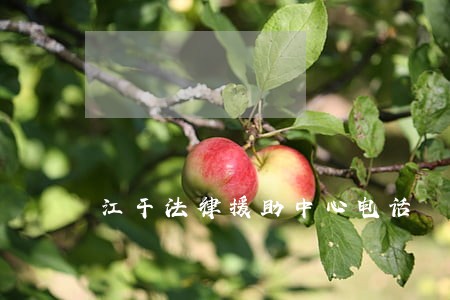 江干法律援助中心电话 江干法律援助中心电话