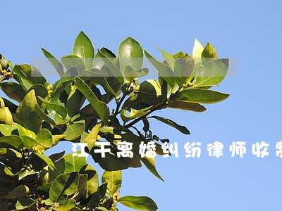 江干离婚纠纷律师收费高吗 江干离婚纠纷律师收费高吗