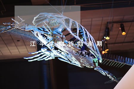 江平生物贷款逾期 江平生物贷款逾期