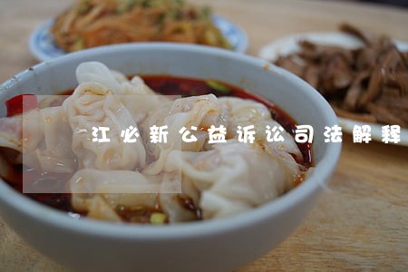 江必新公益诉讼司法解释 江必新公益诉讼司法解释