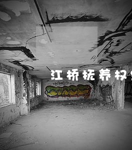 江桥抚养权纠纷律师 江桥抚养权纠纷律师