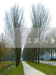 江汉人身损害专业律师收费标准 江汉人身损害专业律师收费标准