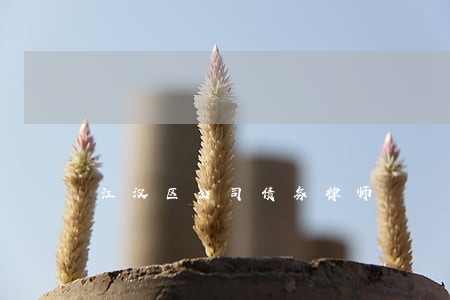 江汉区公司债务律师 江汉区公司债务律师