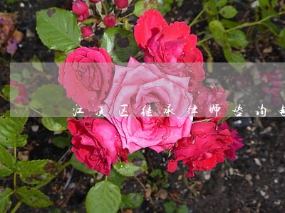 江汉区继承律师咨询电话 江汉区继承律师咨询电话