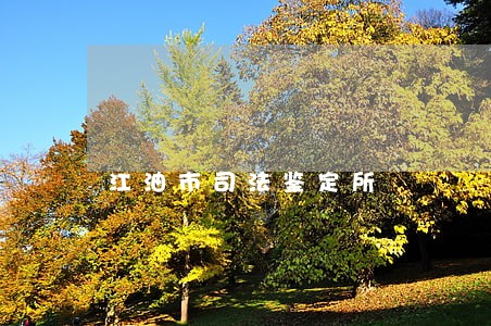 江油市司法鉴定所 江油市司法鉴定所