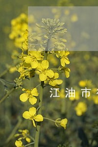 江油市律师事务所有哪些