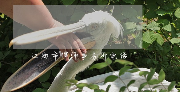江油市律师事务所电话 江油市律师事务所电话