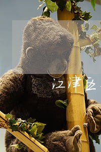 江津区专业法律咨询排名 江津区专业法律咨询排名