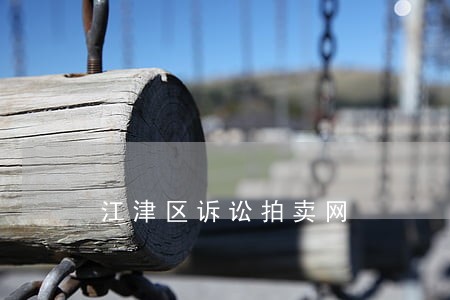 江津区诉讼拍卖网