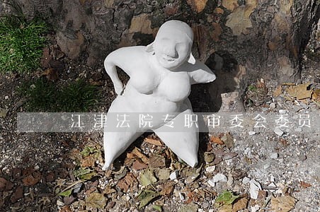 江津法院专职审委会委员 江津法院专职审委会委员