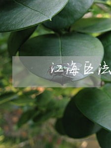 江海区法律顾问哪家好