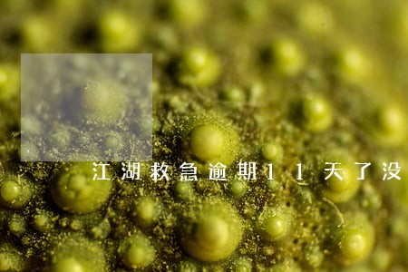 江湖救急逾期11天了没有催收 江湖救急逾期11天了没有催收