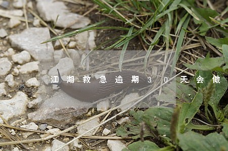 江湖救急逾期30天会做牢吗 江湖救急逾期30天会做牢吗