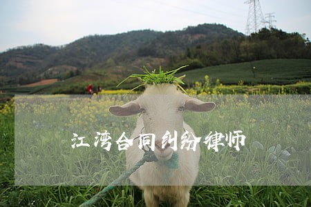 江湾合同纠纷律师 江湾合同纠纷律师