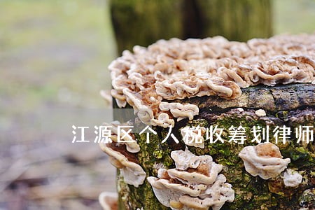 江源区个人税收筹划律师 江源区个人税收筹划律师