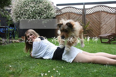 江源区诉讼保全律师