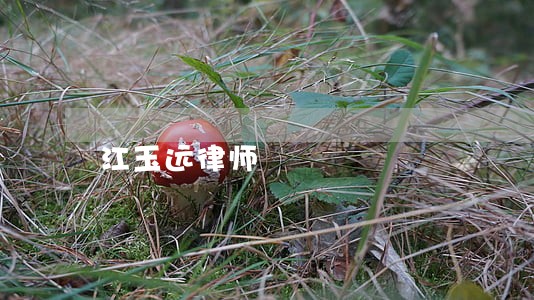 江玉远律师 江玉远律师
