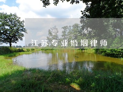 江苏专业婚姻律师