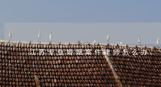 江苏专业婚姻案件律师怎么办 江苏专业婚姻案件律师怎么办