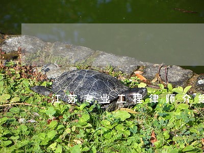 江苏专业工程律师介绍 江苏专业工程律师介绍