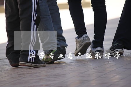江苏专业遗产继承律师 江苏专业遗产继承律师