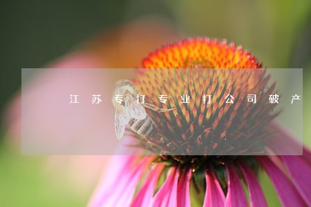 江苏专打专业打公司破产的律师网 江苏专打专业打公司破产的律师网