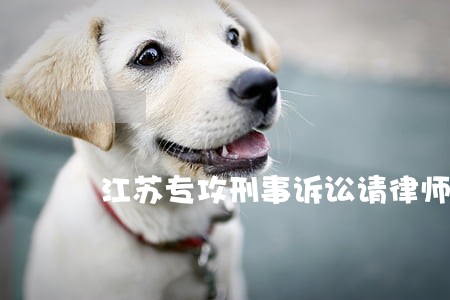 江苏专攻刑事诉讼请律师 江苏专攻刑事诉讼请律师