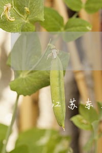 江苏东亚银行逾期协商 江苏东亚银行逾期协商