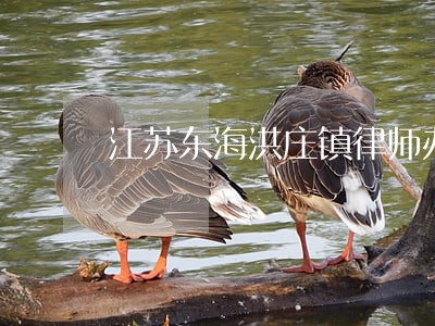 江苏东海洪庄镇律师办理取保候审 江苏东海洪庄镇律师办理取保候审